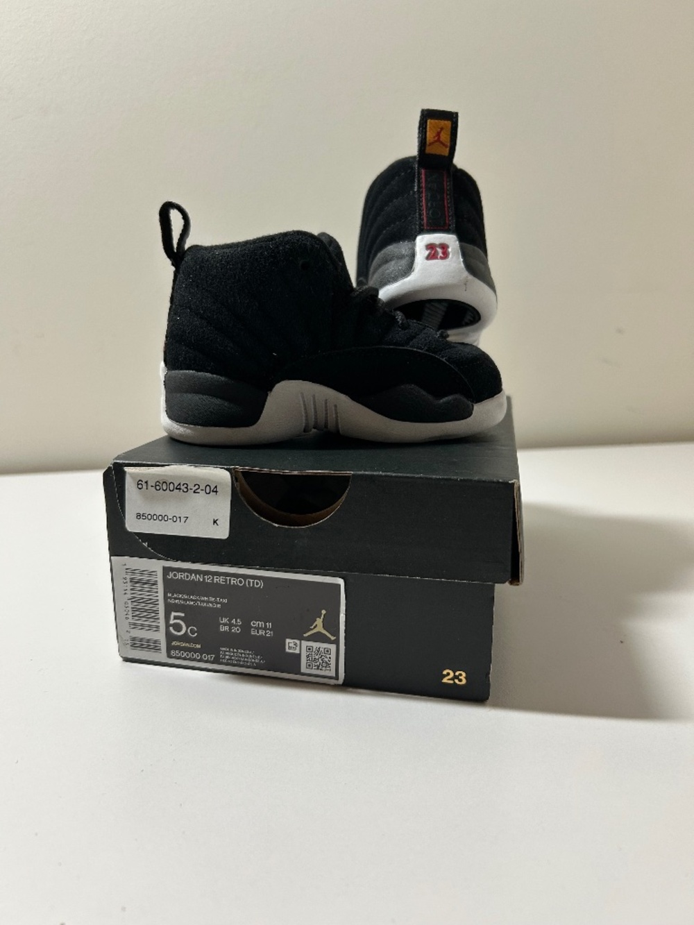 Jordan 12 (TD)